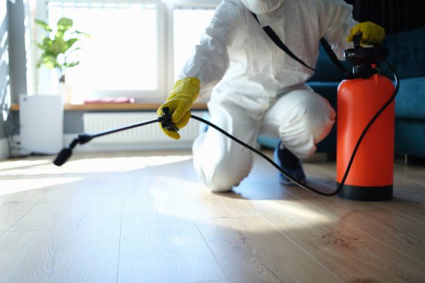 Reliable Odor Removal contractor in Richmond, IL by Trauma Clean Pros